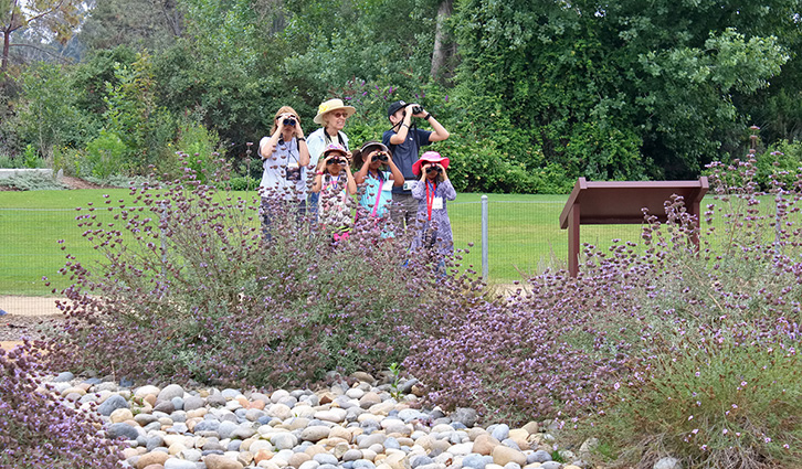 Group of people wearing hats and using binoculars to view a garden behind purple flowering shrubs.