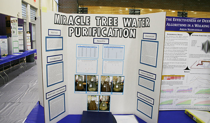 Poster board titled 'Miracle Tree Water Purification' displayed at a science fair with charts and photos.