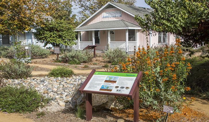 Pink cottage-style building with a front porch, a wooden information sign in the foreground, and a xeriscaped garden with orange flowers.