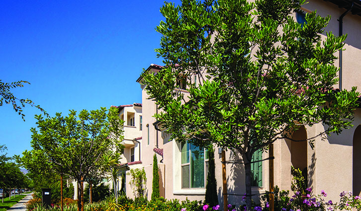 Neighborhood with beige stucco townhouses, lush trees, and a bright blue sky.
