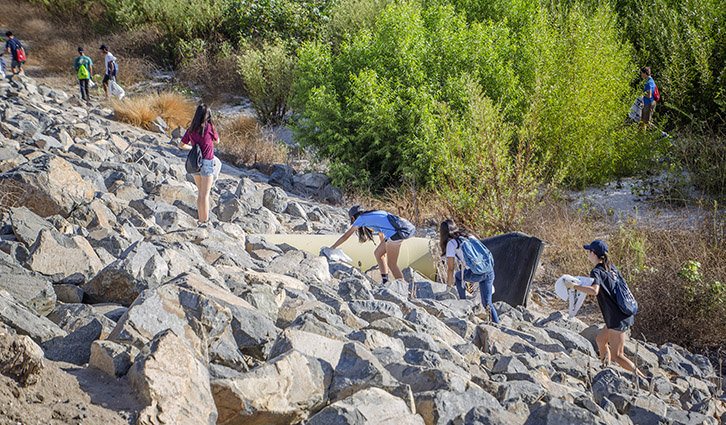 Group of hikers navigating a rocky slope beside dense green shrubs.