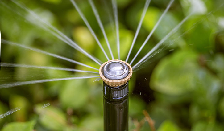 Garden sprinkler head spraying water in arcs over green foliage