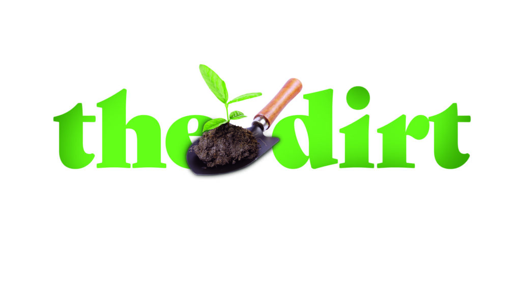 Logo for 'the dirt' showing lime-green wordmark with a shovel full of soil and a sprouting seedling.