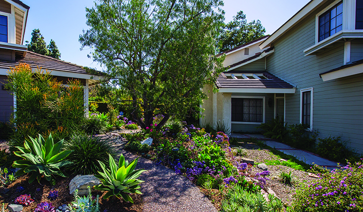 Front yard of a suburban house with a gravel path and a lush garden of succulents and flowering plants.