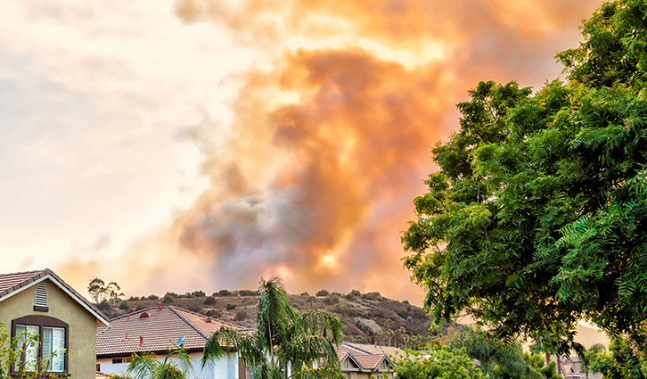Smoke and orange glow over a suburban neighborhood with palm trees and houses as hills burn in the background.