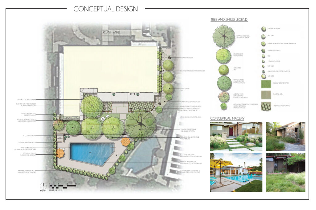 Conceptual landscape design plan of a residential backyard featuring a pool, deck, and tree-lined planting beds.