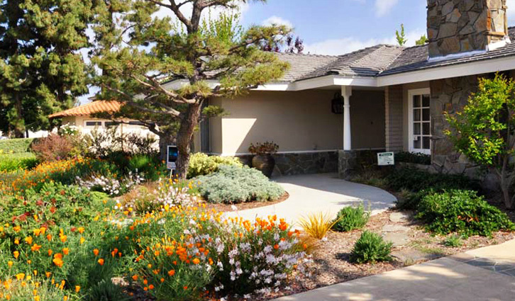 Sunny front yard with a landscaped garden, pathway, and a stone chimney on a suburban house