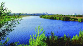 Wide river with lush green riverbank vegetation and a distant city skyline on the horizon.