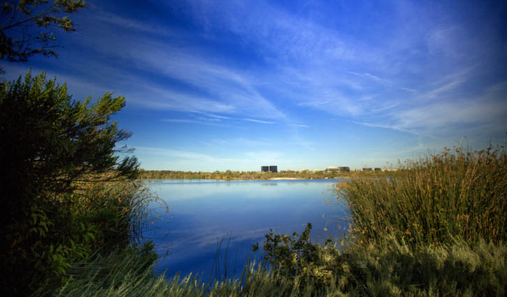 Calm lake reflecting a blue sky, framed by grasses and shrubs along the shoreline.