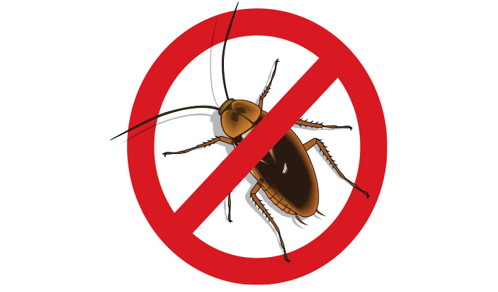 Cockroach inside a red prohibition symbol, indicating no pests.