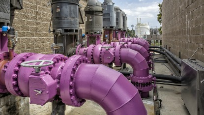 Purple industrial pipes and valves in a utility facility corridor.