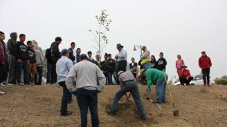 Group of volunteers planting a sapling on a hillside with onlookers and a photographer nearby.
