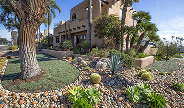 Desert-style residence with xeriscape garden featuring rocks, succulents, and palm trees around a beige stucco house.