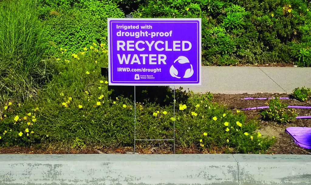 Purple sign advertising drought-proof recycled water irrigation beside a sidewalk among green shrubs and yellow flowers.