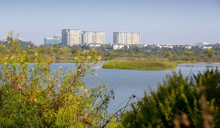 Wetland foreground with grasses, calm lake, and distant apartment buildings