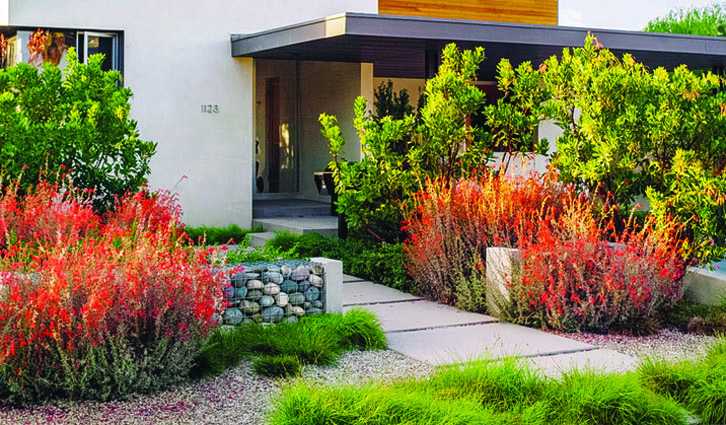 Modern home entrance with a gravel path and vibrant xeriscape shrubs in red, green, and gray stone accents.