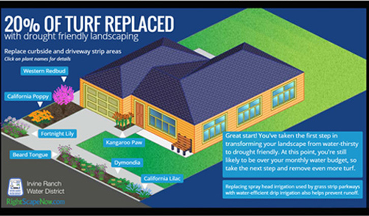 Infographic showing drought-friendly landscaping around a house with plant labels like California Poppy and Kangaroo Paw.
