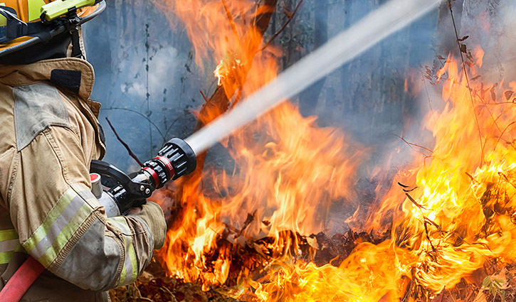 Firefighter in turnout gear sprays water from a hose at a forest fire