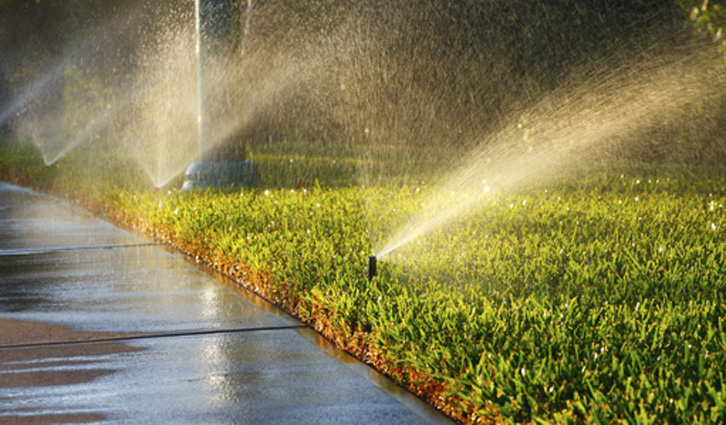 Lawn sprinklers watering a green hedge beside a wet sidewalk with sunlit spray.