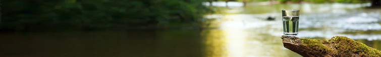 Glass of water rests on a mossy log beside a sunlit river