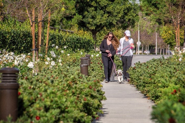 Two women walk a small white dog along a sunny park path beside flower beds.