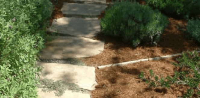 Stone stepping path through a landscaped garden with low shrubs and mulch.