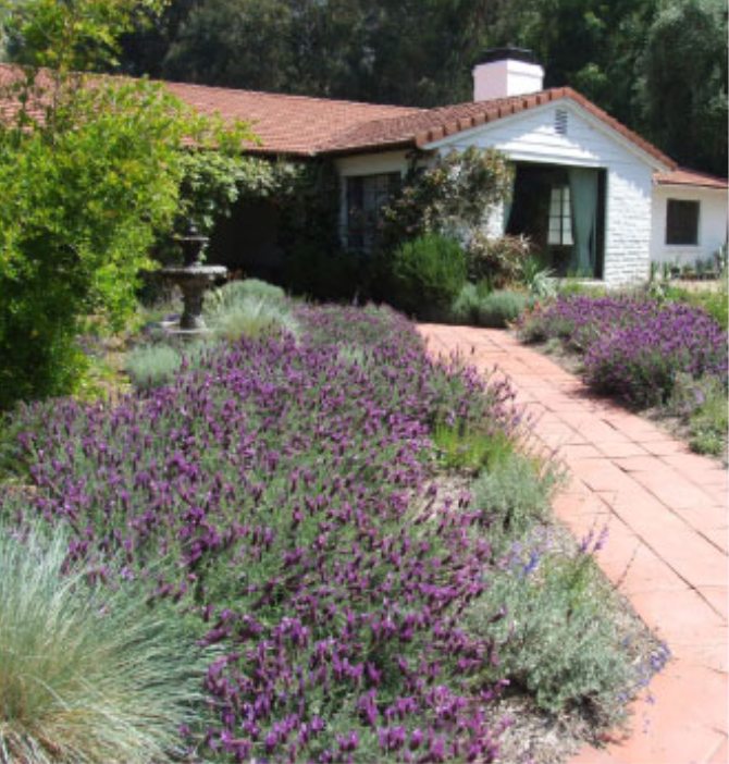 White ranch-style house with a red-tiled roof, bordered by a brick path and vibrant purple lavender.
